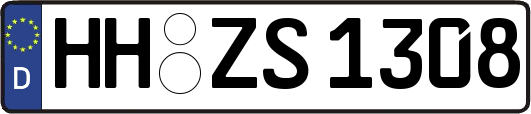 HH-ZS1308
