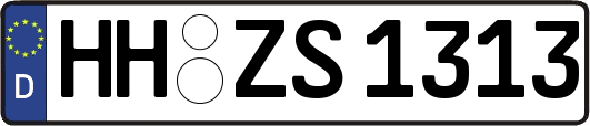 HH-ZS1313