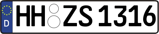 HH-ZS1316