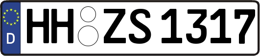 HH-ZS1317