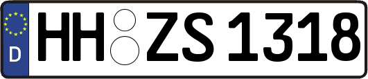 HH-ZS1318