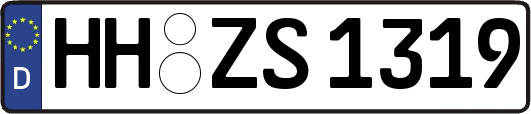 HH-ZS1319