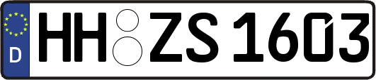 HH-ZS1603