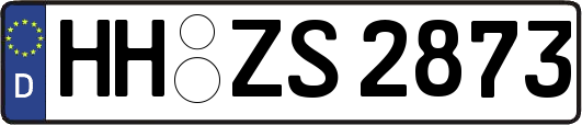 HH-ZS2873