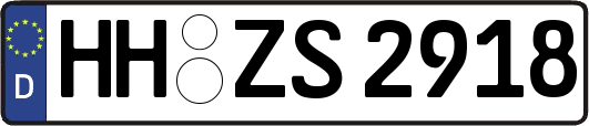HH-ZS2918