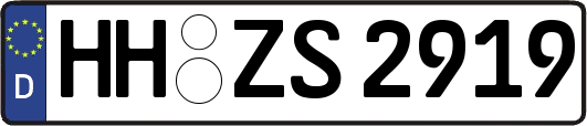 HH-ZS2919