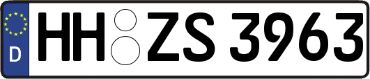 HH-ZS3963