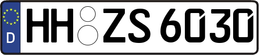 HH-ZS6030