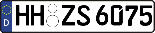 HH-ZS6075