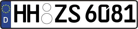 HH-ZS6081