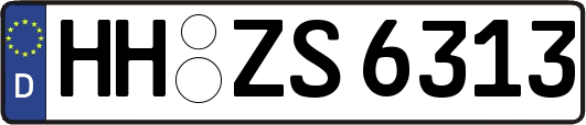 HH-ZS6313