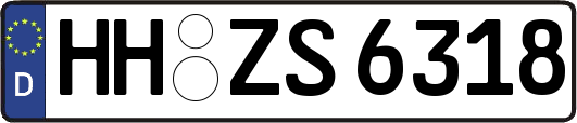 HH-ZS6318