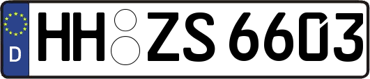 HH-ZS6603