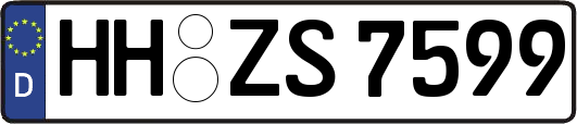 HH-ZS7599