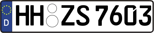 HH-ZS7603