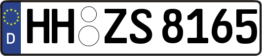 HH-ZS8165