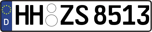 HH-ZS8513