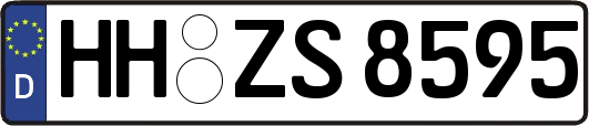 HH-ZS8595