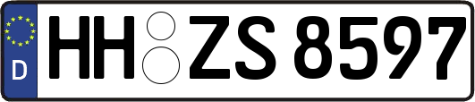 HH-ZS8597