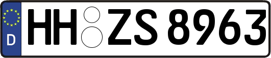 HH-ZS8963