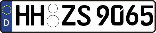 HH-ZS9065