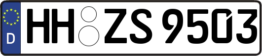 HH-ZS9503