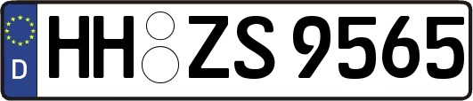 HH-ZS9565