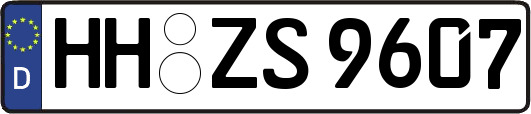 HH-ZS9607