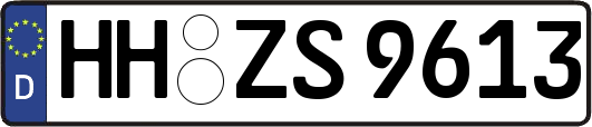 HH-ZS9613