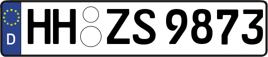 HH-ZS9873