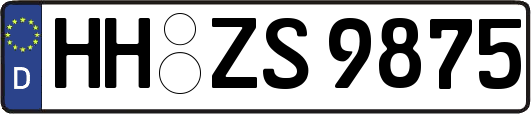 HH-ZS9875