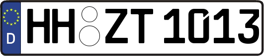 HH-ZT1013