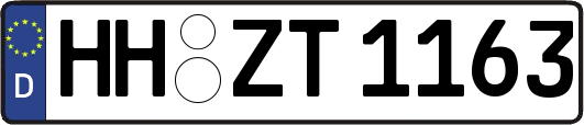 HH-ZT1163
