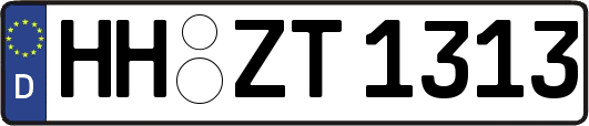 HH-ZT1313