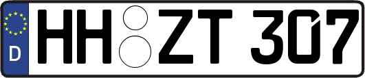 HH-ZT307
