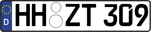 HH-ZT309