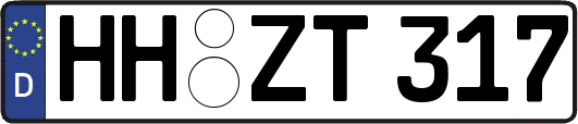HH-ZT317