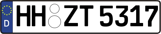 HH-ZT5317
