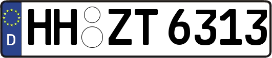 HH-ZT6313