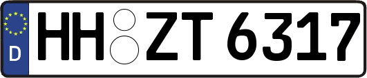 HH-ZT6317