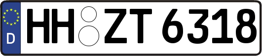 HH-ZT6318