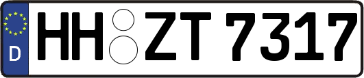 HH-ZT7317
