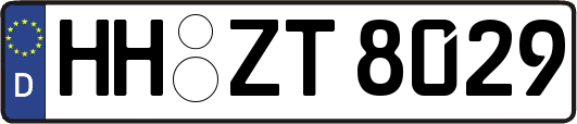 HH-ZT8029