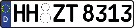 HH-ZT8313
