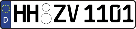 HH-ZV1101