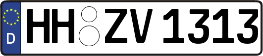 HH-ZV1313