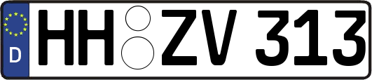 HH-ZV313