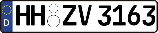 HH-ZV3163