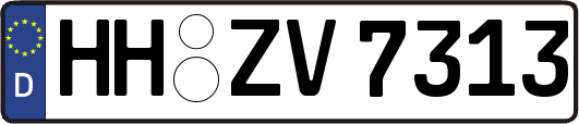 HH-ZV7313