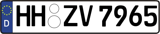 HH-ZV7965